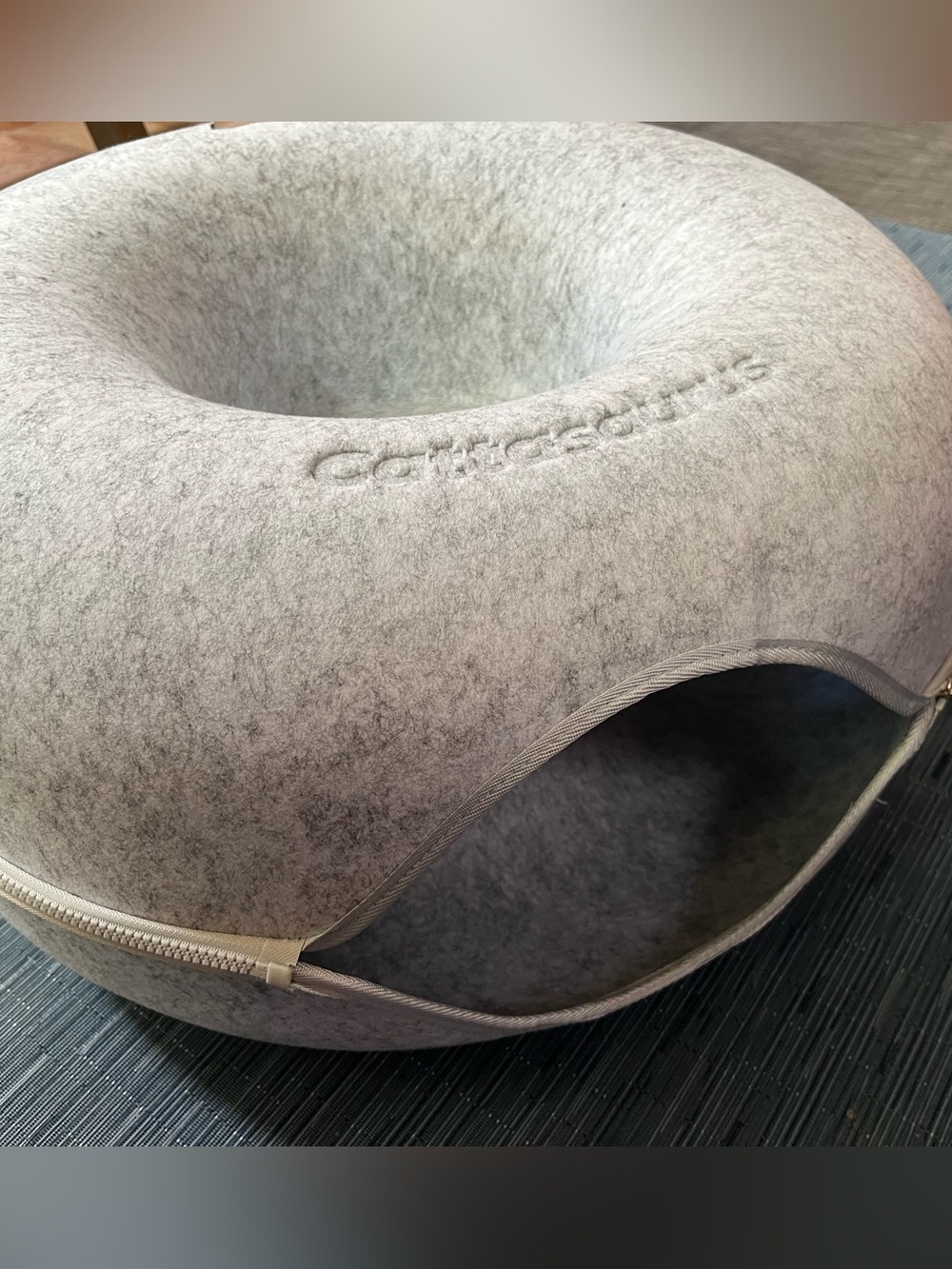Cattasaurus cat bed